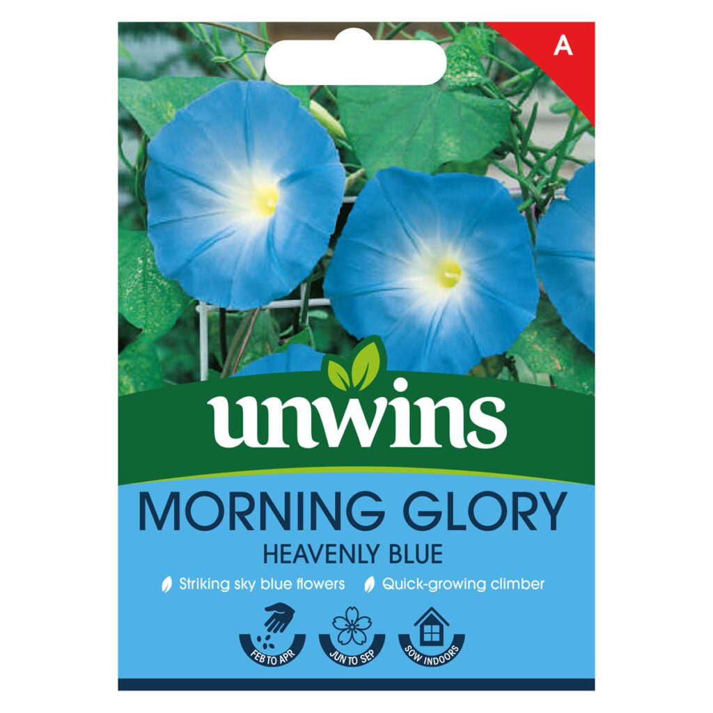 Unwins Morning Glory Heavenly Blue Seeds 5051618011655 2
